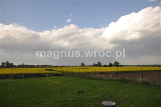 Dom na sprzedaż Wojkowice 150m2 Foto 4