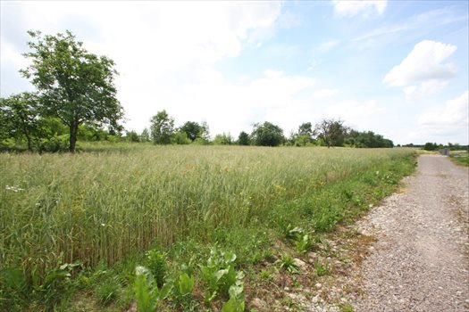 Działka budowlana na sprzedaż Płouszowice-Kolonia 1 700m2 Foto 1