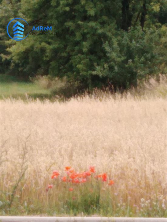 Działka rolna na sprzedaż Białystok, Zawady 2 018m2 Foto 1