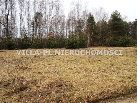 Działka budowlana na sprzedaż Rosanów 2 500m2 Foto 1