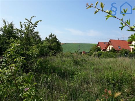 Działka budowlana na sprzedaż Węgrzce 2 600m2 Foto 8