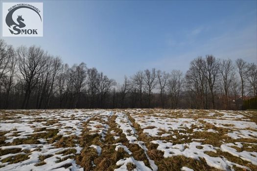Działka leśna na sprzedaż Mogilany 3 000m2 Foto 2