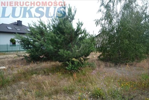 Działka budowlana na sprzedaż Prace Duże, Prace Duże 1 000m2 Foto 7