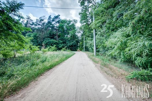 Działka rolna na sprzedaż Łazy, Kampinos, oferta 1649 10 000m2 Foto 5