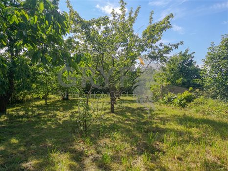 Działka budowlana na sprzedaż Siemianice, Siemianice 2 788m2 Foto 7