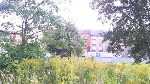 Działka inna na sprzedaż Zabrze, Centrum 1 697m2 Foto 1
