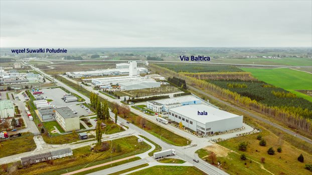Lokal użytkowy na wynajem Suwałki 2 780m2 Foto 3