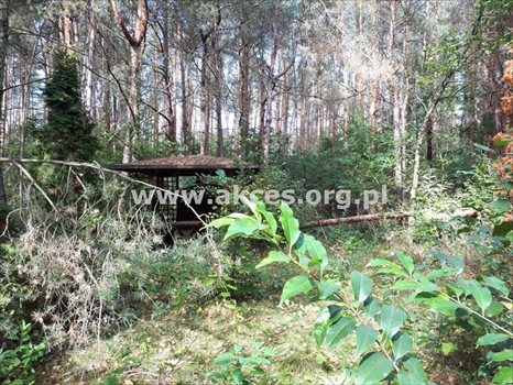 Działka budowlana na sprzedaż Prace Duże 3 000m2 Foto 7