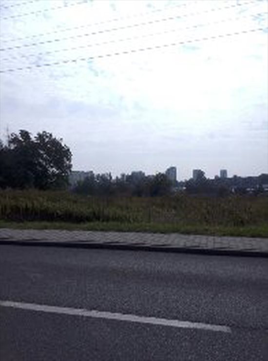 Działka budowlana na sprzedaż Zabrze, ul. Grunwaldzka 5 260m2 Foto 5