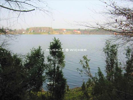 Działka leśna na sprzedaż Wdzydze Tucholskie 6 045m2 Foto 1