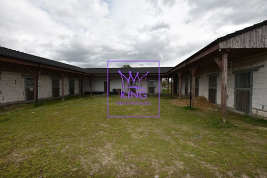 Lokal użytkowy na sprzedaż Rożnowo Nowogardzkie 120 000m2 Foto 1
