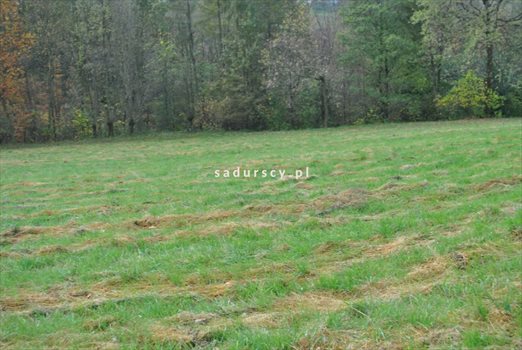 Działka budowlana na sprzedaż Siercza 4 700m2 Foto 4