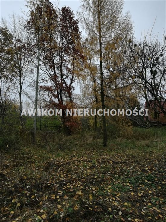 Działka budowlana pod dzierżawę Grodzisk Mazowiecki, Centrum 3 615m2 Foto 4