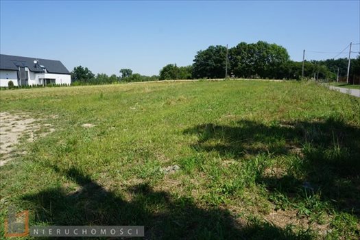 Działka budowlana na sprzedaż Masłomiąca 1 253m2 Foto 10