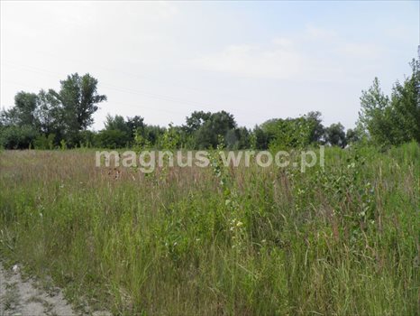 Działka budowlana na sprzedaż Siechnice 2 772m2 Foto 11