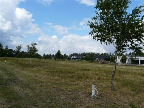 Działka budowlana na sprzedaż Żołędowo 1 562m2 Foto 3