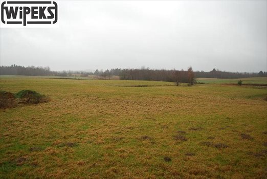 Działka inna na sprzedaż Rokity 27 000m2 Foto 4