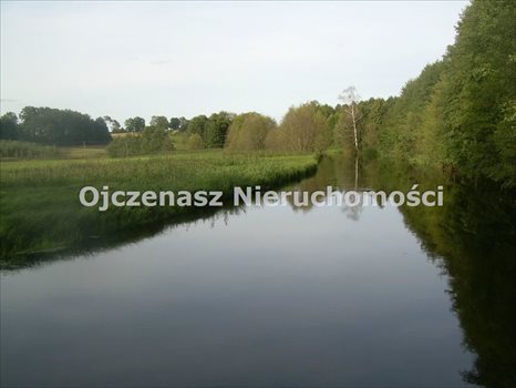 Działka leśna na sprzedaż Sąpolno 23 300m2 Foto 1