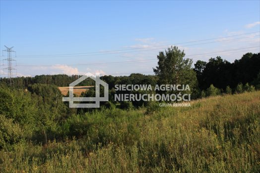 Działka budowlana na sprzedaż Tokary 1 170m2 Foto 1