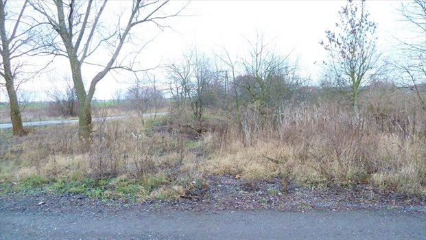 Działka komercyjna na sprzedaż Gorzów Wielkopolski, Karnin 1 162m2 Foto 4
