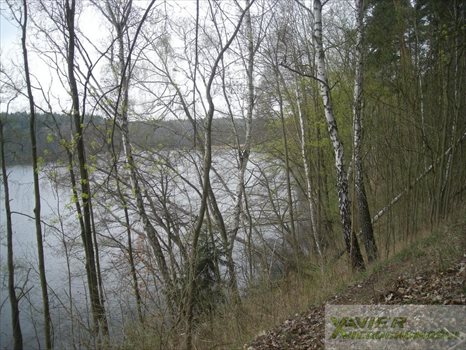 Działka budowlana na sprzedaż Bledzew 1 000m2 Foto 7