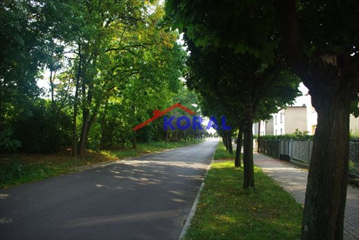 Działka budowlana na sprzedaż Tarnowskie Góry, Sowice, Korczaka 3 988m2 Foto 13