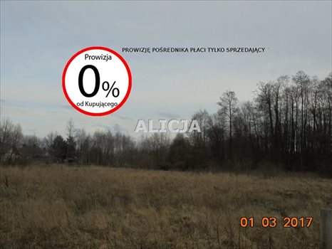 Działka budowlana na sprzedaż Radonie 2 068m2 Foto 7