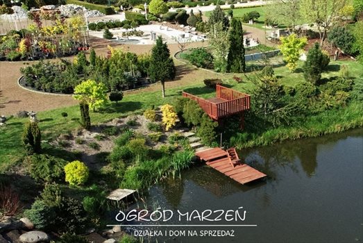 Działka budowlana na sprzedaż Rybnik, Rybnicka 16b 12 000m2 Foto 12