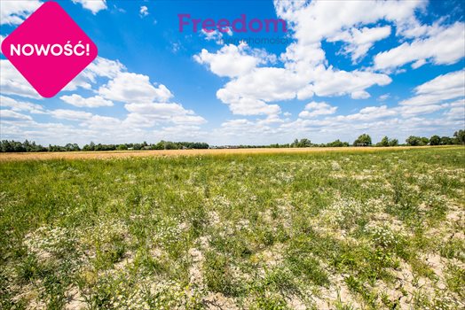 Działka budowlana na sprzedaż Rzeszów, Budziwój, Herbowa 7 000m2 Foto 10
