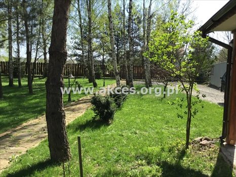 Dom na sprzedaż Łoś, Łoś 75m2 Foto 7