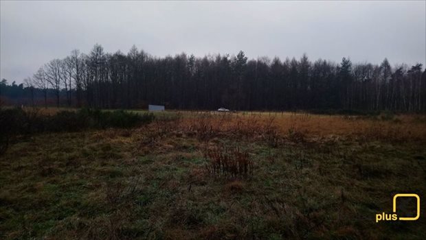 Działka budowlana na sprzedaż Orzesze, Woszczyce, Palowicka 900m2 Foto 9
