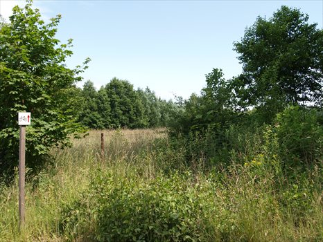 Działka budowlana na sprzedaż Odargowo, ul. Morska 1 532m2 Foto 3