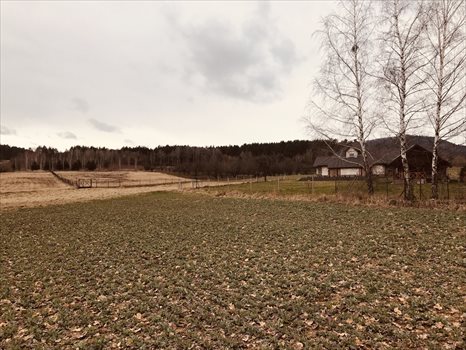 Działka budowlana na sprzedaż Sulistrowice, Nowa 1 200m2 Foto 10
