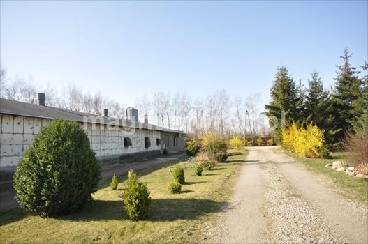 Działka inwestycyjna na sprzedaż Groblice 9 024m2 Foto 7