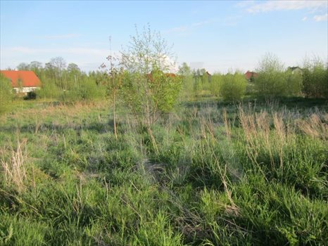Działka budowlana na sprzedaż Małkowo, Znana 1 192m2 Foto 3