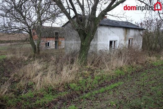 Działka inna na sprzedaż Trutowo 7 952m2 Foto 1