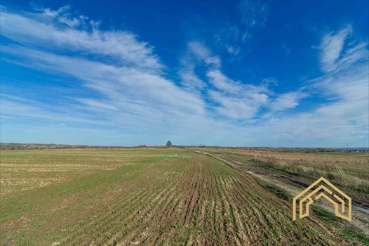 Działka budowlana na sprzedaż Zgłobień 1 000m2 Foto 4