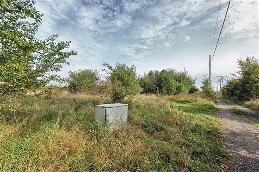 Działka rolna na sprzedaż Dołuje 915m2 Foto 4