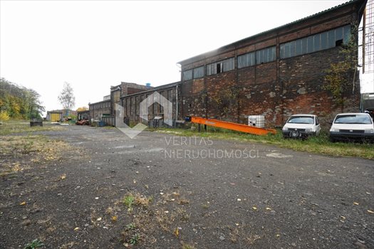 Lokal użytkowy na sprzedaż Mikołów 2 090m2 Foto 12