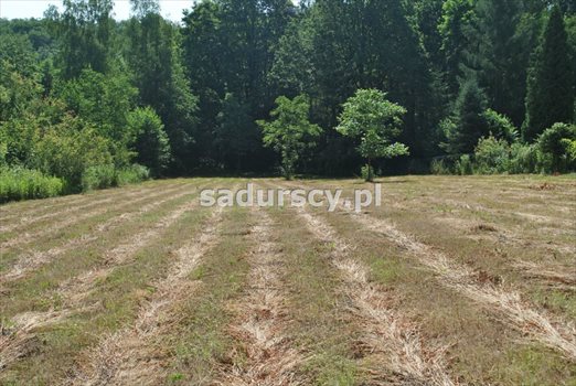 Działka budowlana na sprzedaż Kraków, Swoszowice, Soboniowice, Heleny Chanieckiej 2 860m2 Foto 4