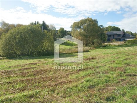Działka budowlana na sprzedaż Lusina, Zdrojowa 4 300m2 Foto 2