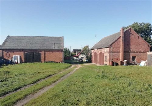 Działka gospodarstwo rolne na sprzedaż Piotrkosice 2 966m2 Foto 3
