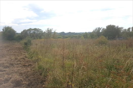 Działka rolna na sprzedaż Tolkmicko, Tolkmicko 2 500m2 Foto 2