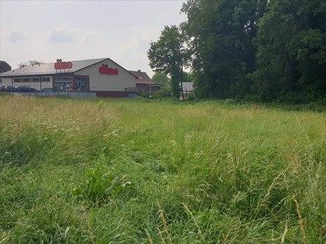 Działka rolna pod dzierżawę Chojna 2 013m2 Foto 3