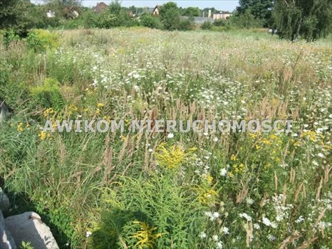 Działka budowlana na sprzedaż Skierniewice 1 100m2 Foto 2