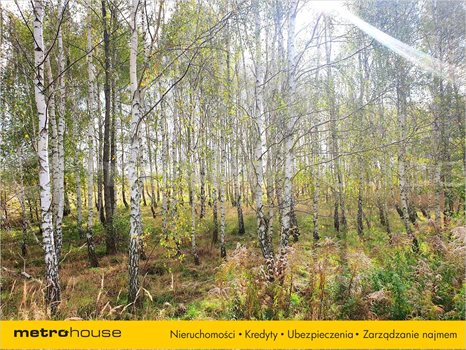 Działka inna na sprzedaż Piątkowisko, Pabianice 886m2 Foto 2