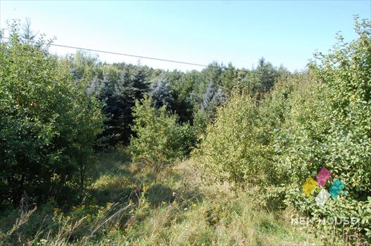 Działka inna na sprzedaż Cerkiewnik 937m2 Foto 5