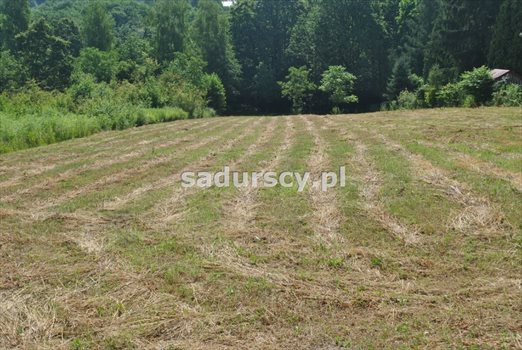 Działka budowlana na sprzedaż Kraków, Swoszowice, Soboniowice, Heleny Chanieckiej 2 860m2 Foto 8