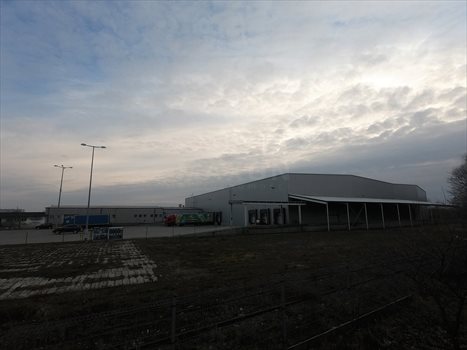 Lokal użytkowy na wynajem Konin, ul. bł. Maksymiliana Kolbego 2 431m2 Foto 6