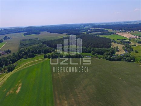 Działka inna na sprzedaż Klonówka, Las, Rzeka 101 600m2 Foto 7